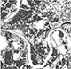 Jaunesnysis Topografinių duomenų administratorius (-ė)