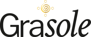 Marketingo / rinkodaros specialistas
