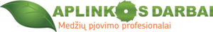 Vadybininkas