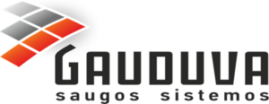 Projektų vadybininkas (-ė)