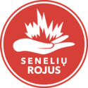 Direktoriaus pavaduotojas socialiniams reikalams