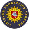 Viešųjų pirkimų vyriausiasis specialistas
