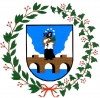 Centralizuoto vidaus audito tarnybos vadovas