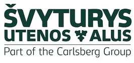 Gamybos procesų informacinių technologijų inžinierius (-ė)