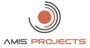 Job ads in Amis projects, UAB