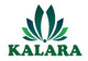 Job ads in KALARA, UAB